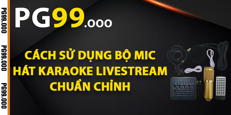 Cách sử dụng bộ mic hát karaoke livestream chuẩn chỉnh